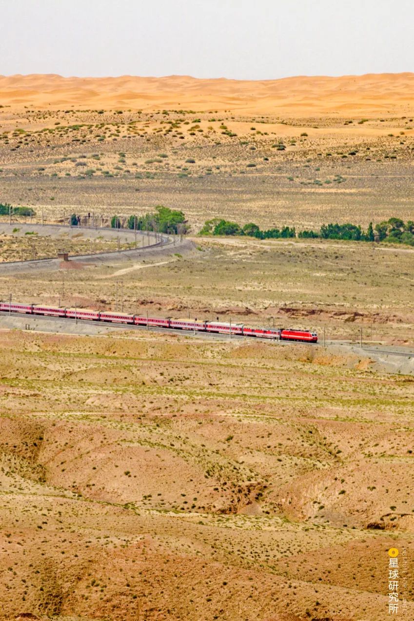 中国植树造林成果国外有什么看法,植树造林改造沙漠