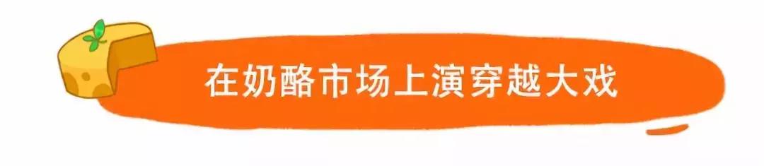 荷兰奶酪城,探秘荷兰夜生活