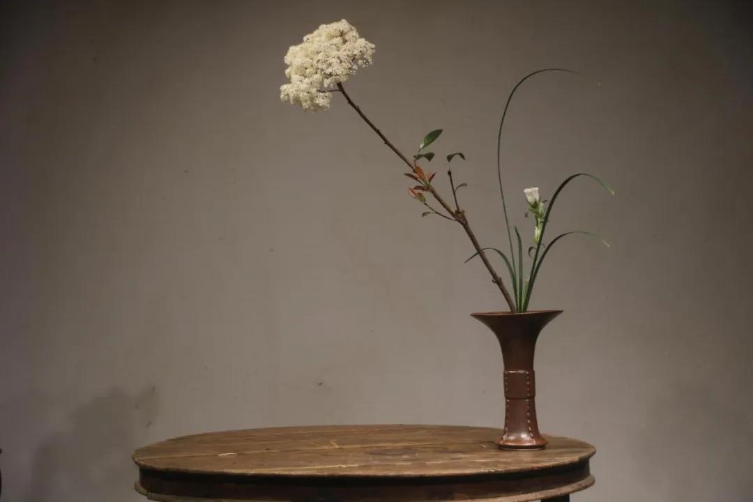 年年皆是,年年皆是如此什么意思