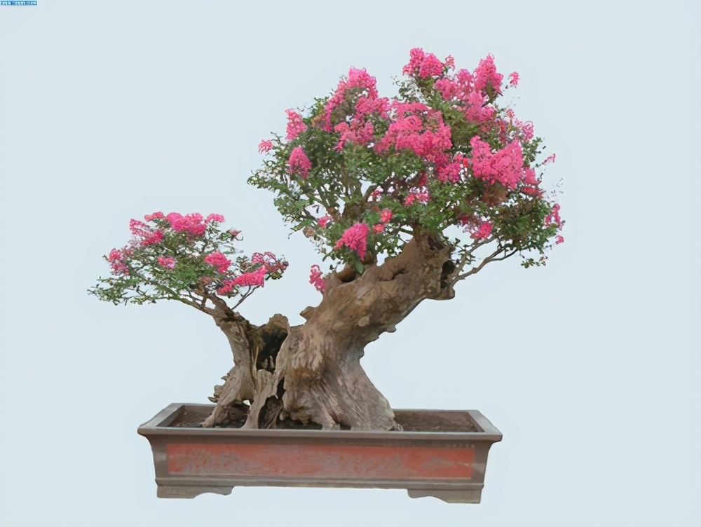 农村好项目创业项目,农村投资小见效快的项目