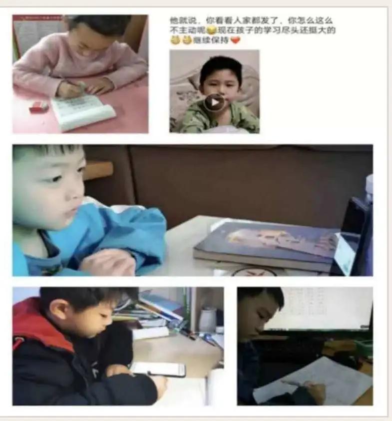 鑱婂煄甯傛渶鍑哄悕鐨勫鏍℃槸,鑱婂煄寤烘牎