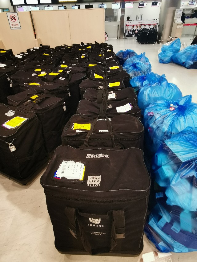 在济州岛机场，有群特殊的人群，每天都在做同一件事情