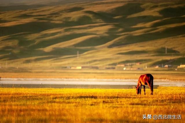 青海到底是哪里的,青海到底是一个怎样的地方