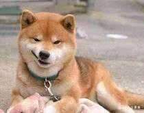 那些年起过的沙雕网名,跟名著有关的沙雕网名