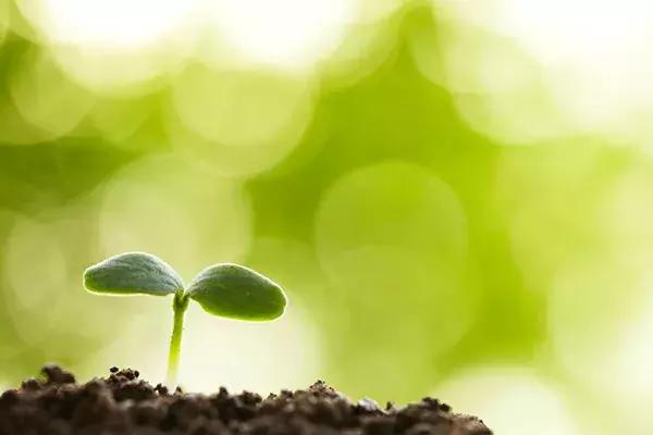 学讲话·品典故|重温习*平近**总书记在*会两**上引用的典故