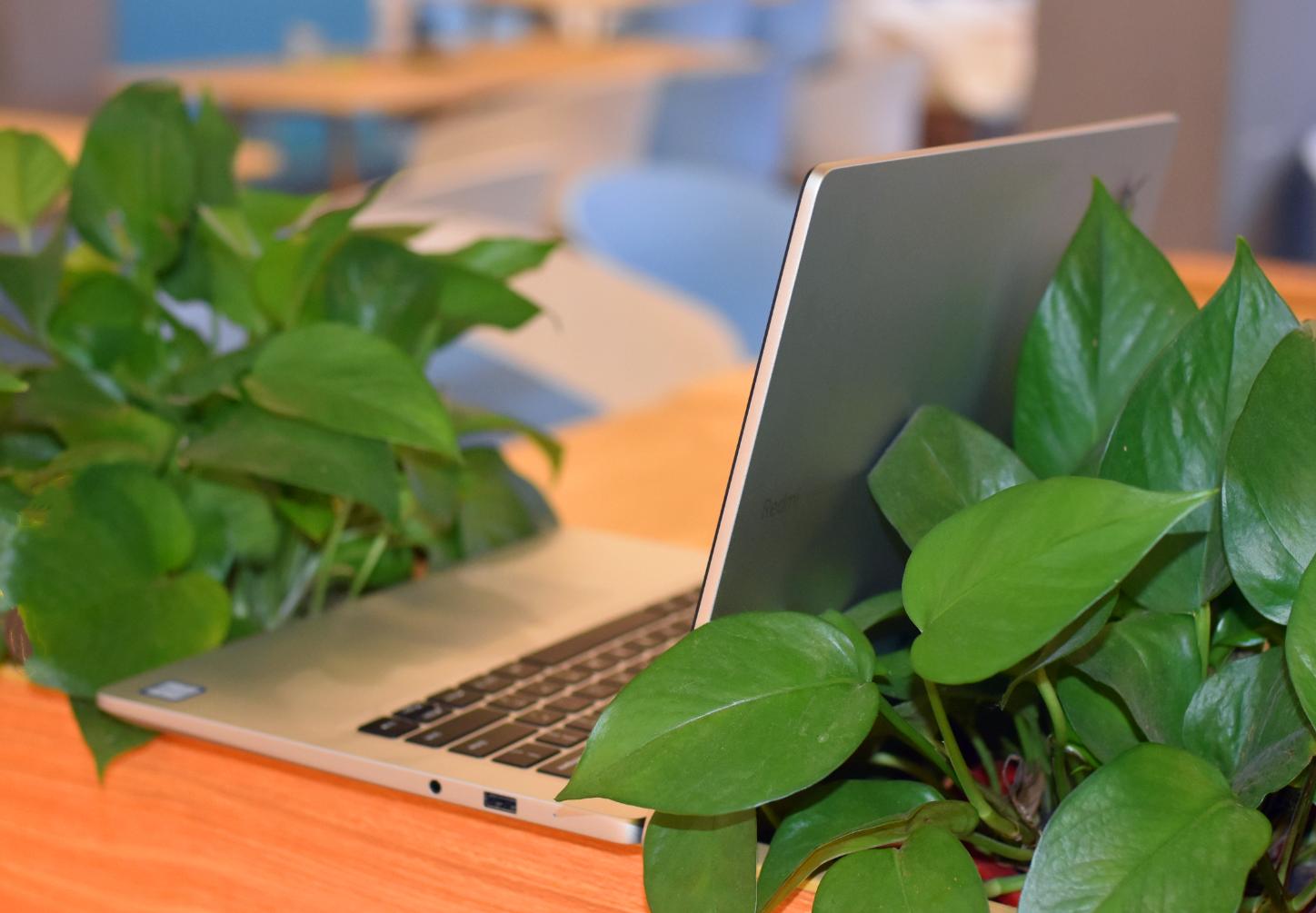 redmibook2019评测,redmibookpro深度测评