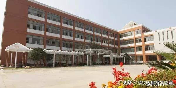 一年级在学校日记怎么写,一年级写日记怎么辅导