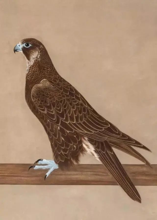 他画的鹰，严谨工致，萧疏威严