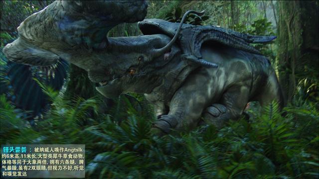 从未被超越完整版,从未被超越