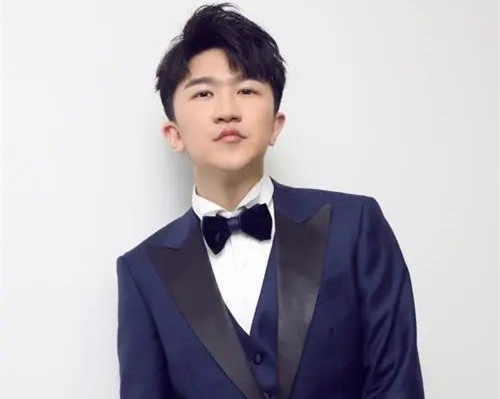 拳力以赴张伦硕辰亦儒,拳力张大大