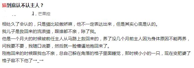 养猫三年以上你的猫吃的什么,养猫三年没摸过猫