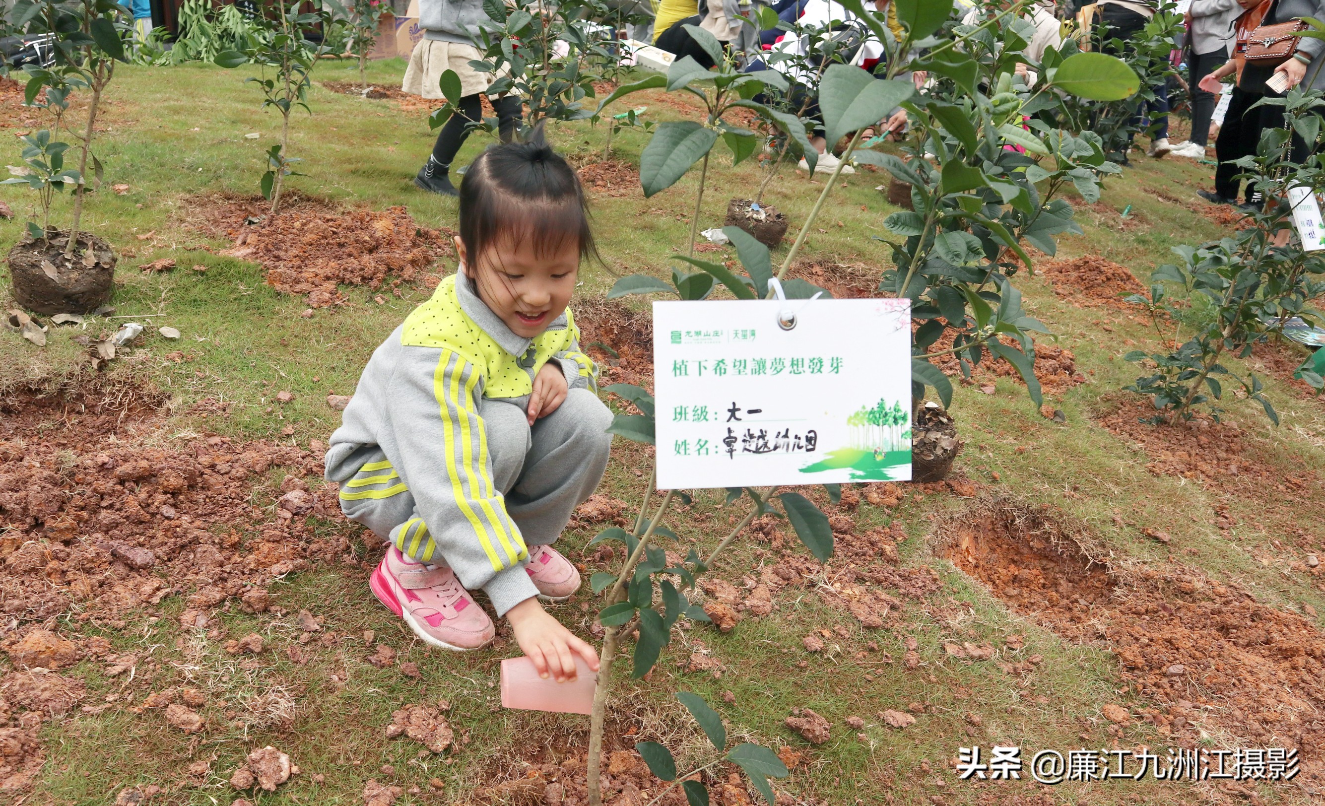种下希望让梦想发芽舞蹈,种下希望让梦想发芽