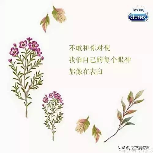 520文案来袭,520文案比较甜的