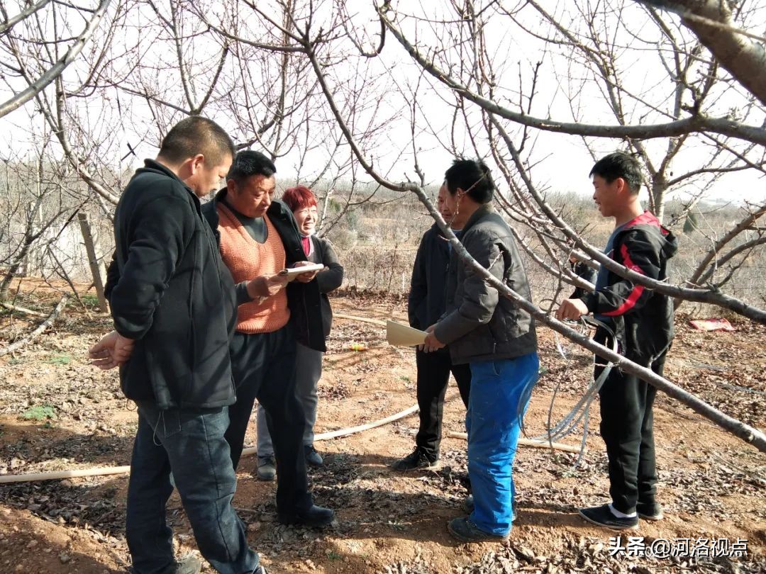 我为群众办实事法院工作,我为群众办实事河南公共频道