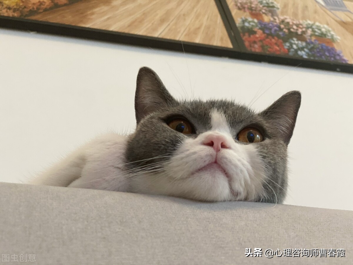 顽固性失眠最佳解决方法,10几年顽固性失眠调理多久才能好