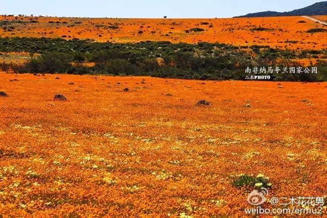 澶氳倝澶х浜屾湪,澶氳倝杈句汉浜屾湪