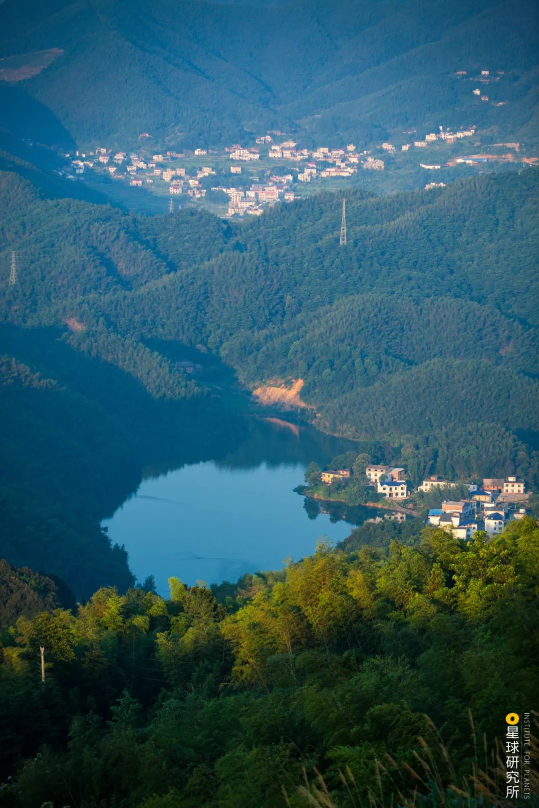 中国植树造林成果国外有什么看法,植树造林改造沙漠