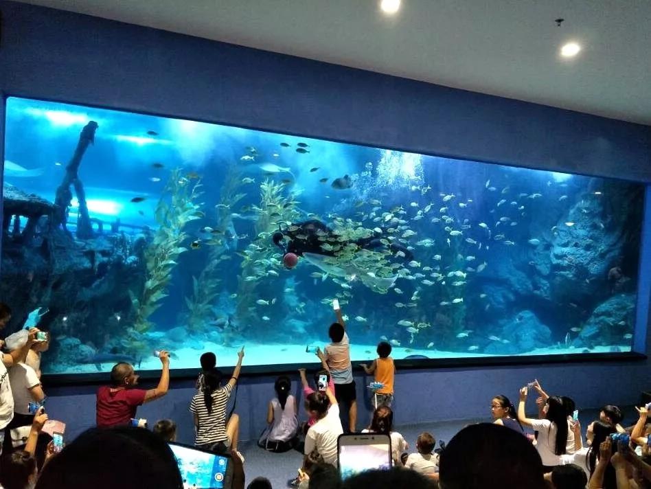 海底世界搬到自己家,海底世界聊城入园
