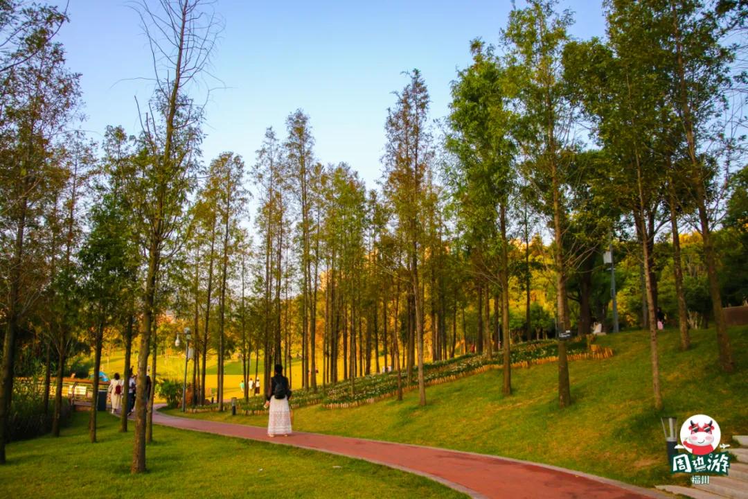 福州一日游最佳去处免费凉快,福州一日游最佳方案旅游攻略