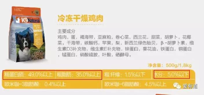 毛孩子偷吃东西被发现,毛孩子吃东西被发现了