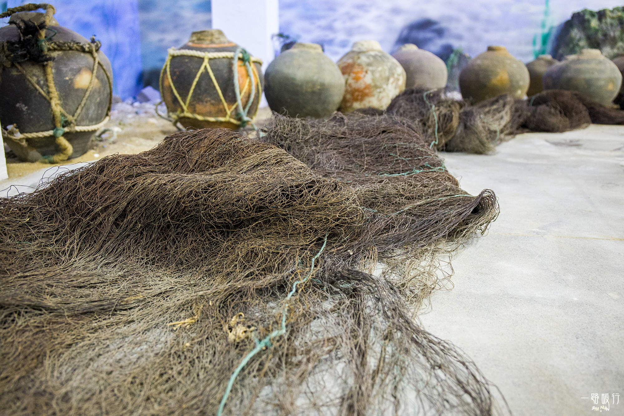 牡蛎生命意义,野生牡蛎的价值