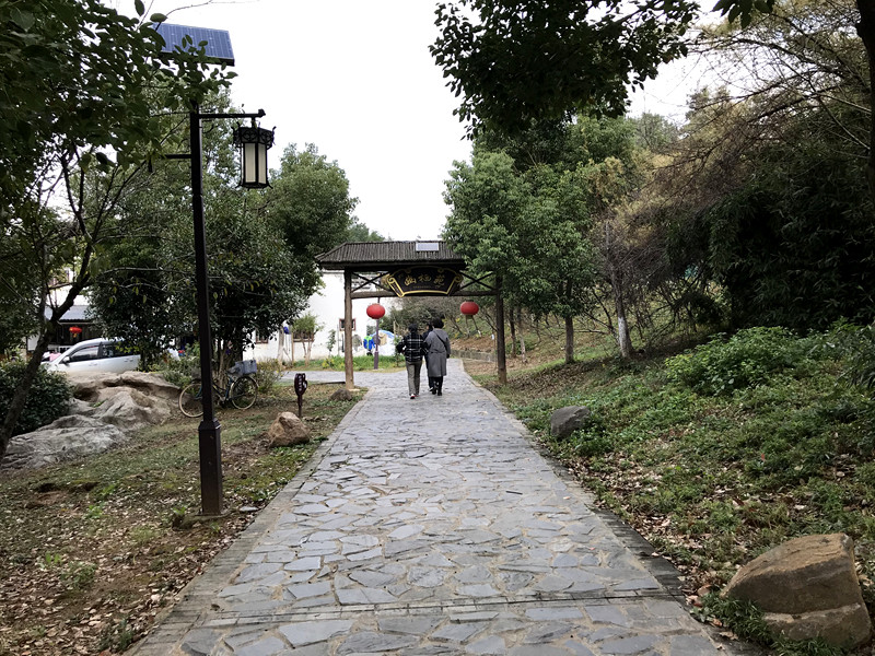 采菊东篱下悠然见南山拙政园,采菊东篱下悠然见南山芒种