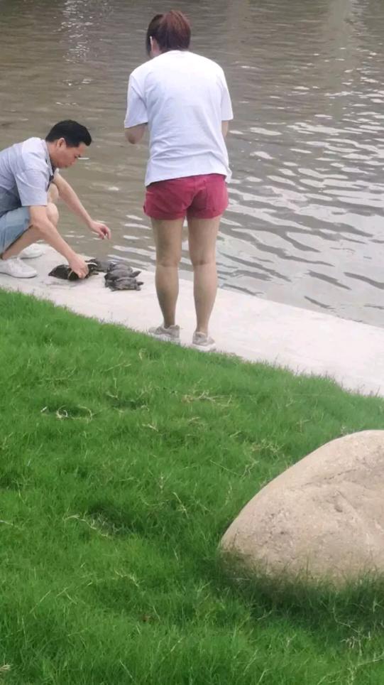 村民捡到40多斤巨鳖将其放生,58斤大鳖突然浮出水面吓坏江边人