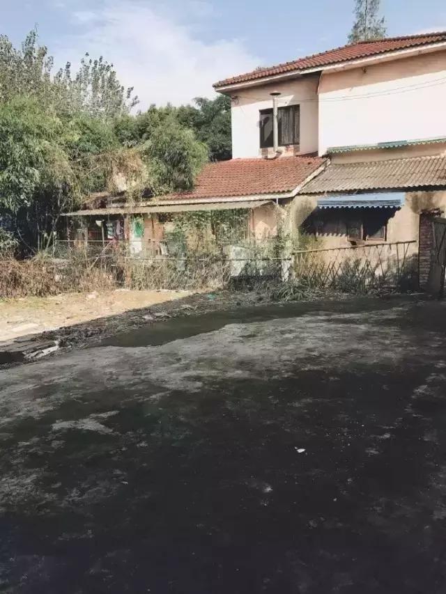 90后小伙花100万造房子,90后小伙花几千元装修500个平方