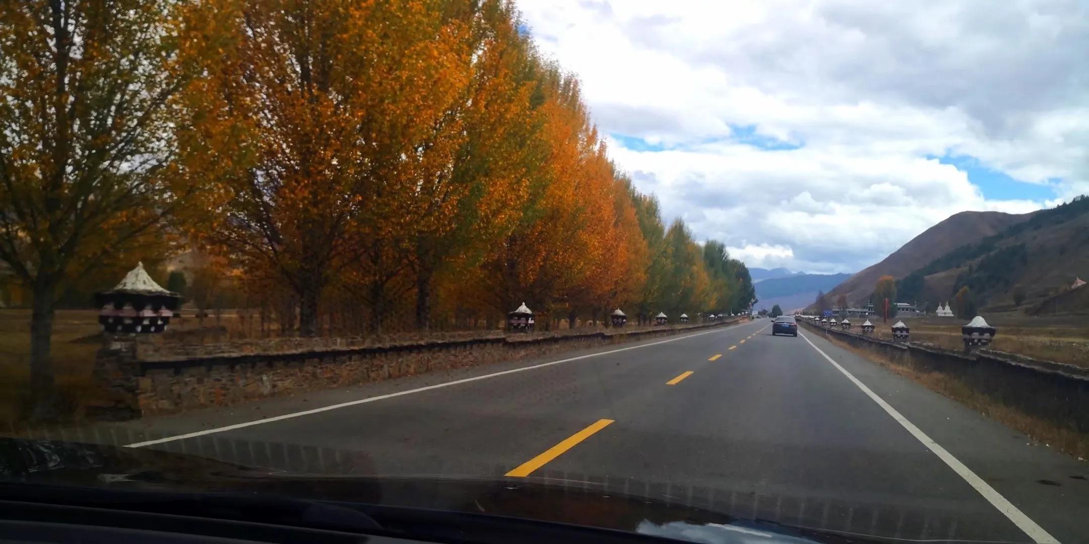 秋天的怀念作者,秋天的怀念