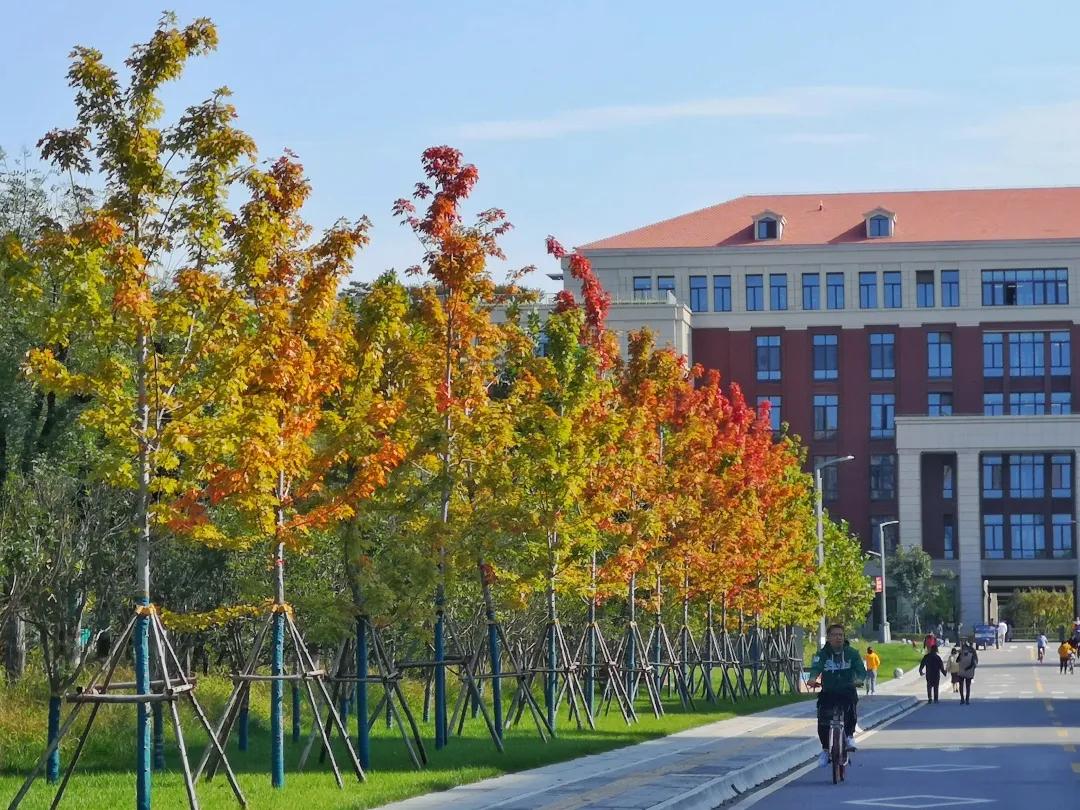 上海交大学生是怎么过假期的,上海交大寒假放假时间2021-2022