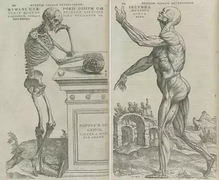 中西医之争的本质是什么,中西医之争的根本原因