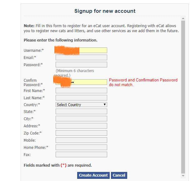 花重金买猫,花高价买的猫