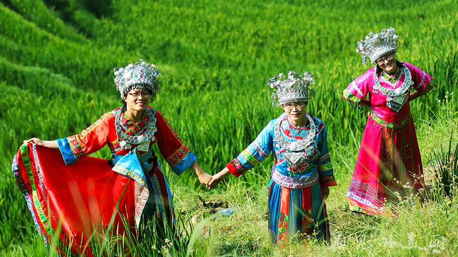 龙脊梯田风景区被破坏过吗,桂林龙脊梯田最全攻略