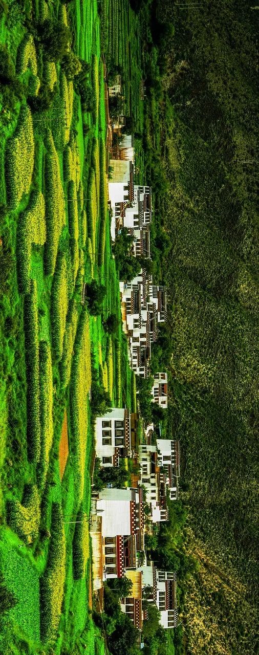 有一种风情叫江南烟雨,波密西藏江南