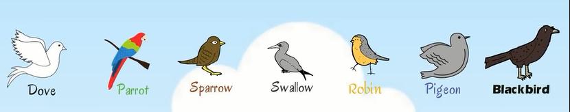 动物类英语单词记忆教学,每日英语单词之动物单词