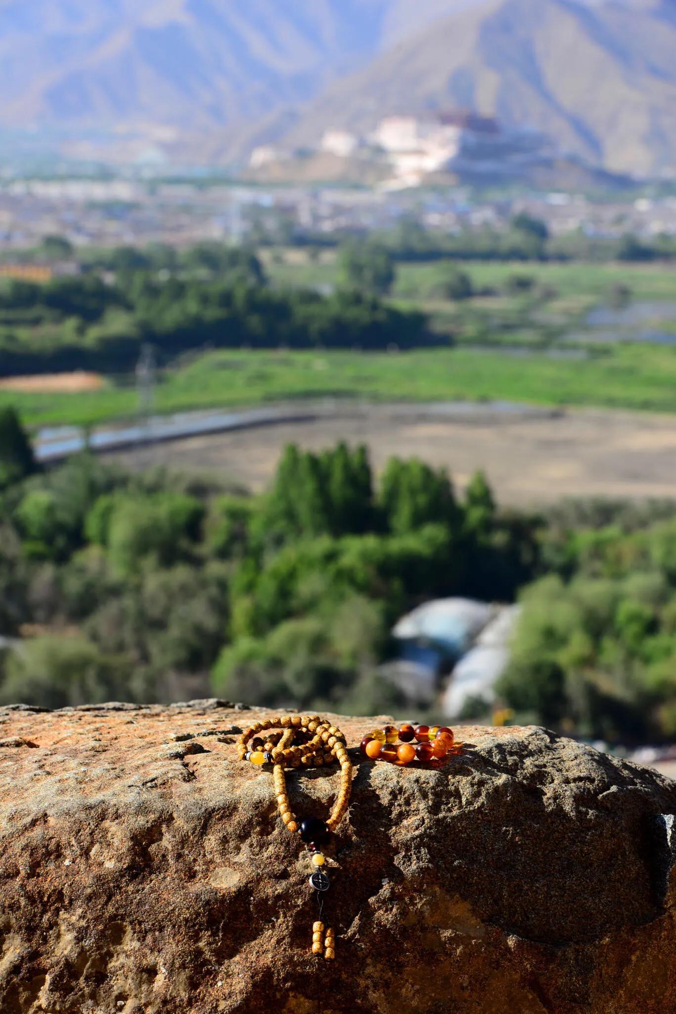 川藏的布达拉宫,西藏布达拉宫简介