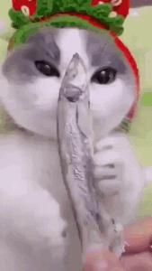 对付不爱喝水的孩子,熊孩子不爱喝水的问题