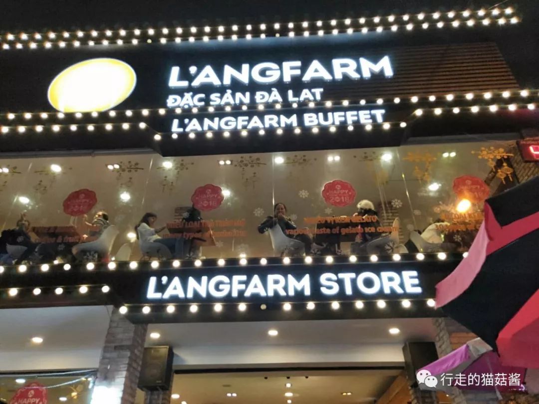 越南美奈跟大叻哪个更值得去,胡志明美奈大叻游