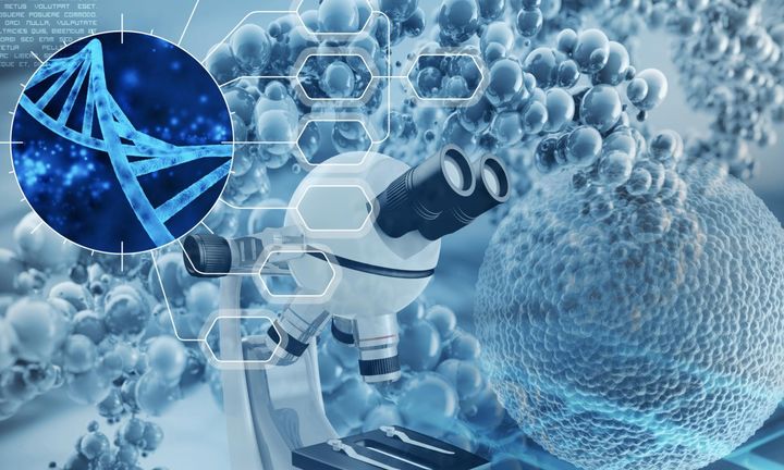 自闭症药物研究进展2020,自闭症最新研究