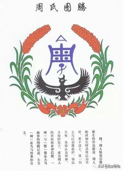 周家大院的周莹,清末陕西首富周莹的娘家