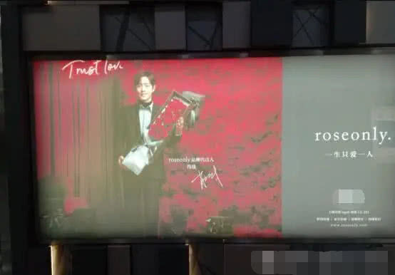 肖战代言玫瑰roseonly广告,肖战代言玫瑰roseonly活动