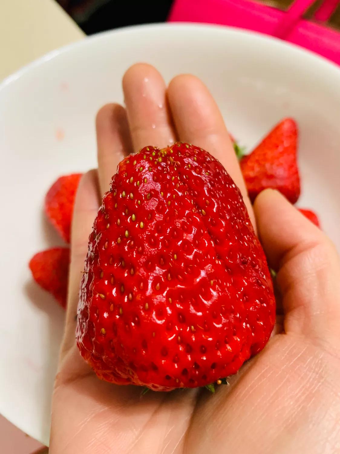 天天蔬果,天天蔬果新消息