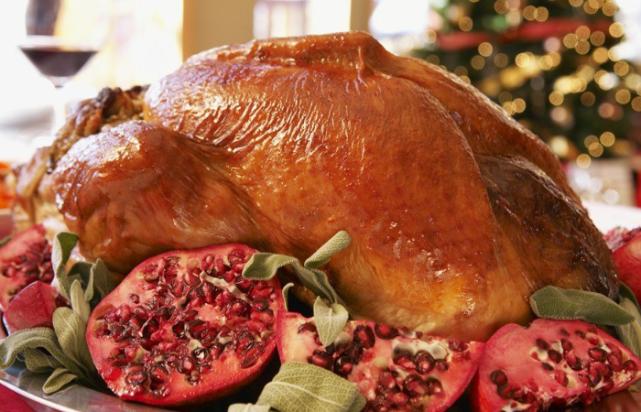 美国麻省火鸡泛滥成灾,美国火鸡成灾的视频