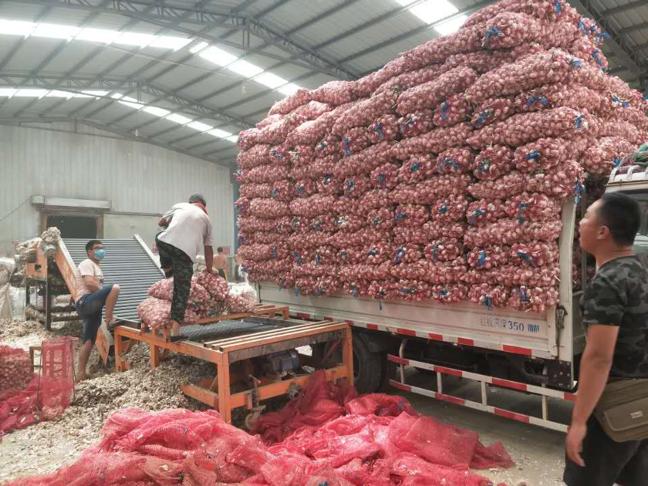 致富经蒜黄,致富经卖过亿