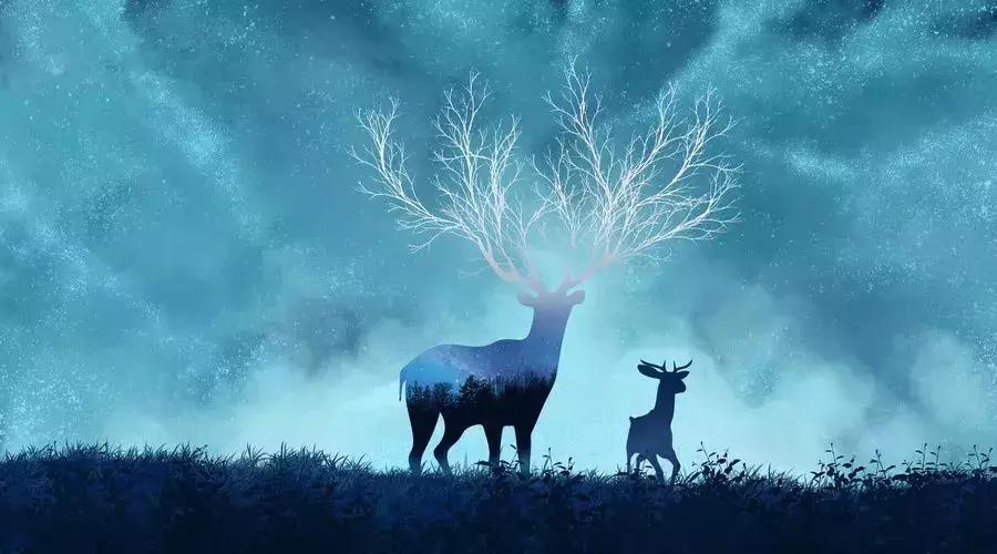 一匹马的故事，带你认识这个宇宙的真相！