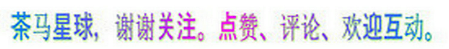 瑞士科学家,瑞士科学家的真实水平