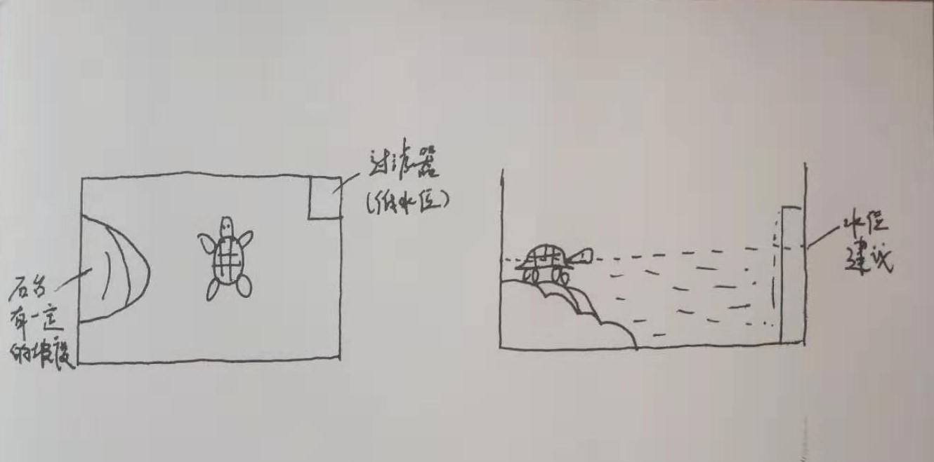 养龟其实很简单,养龟人朋友圈说说