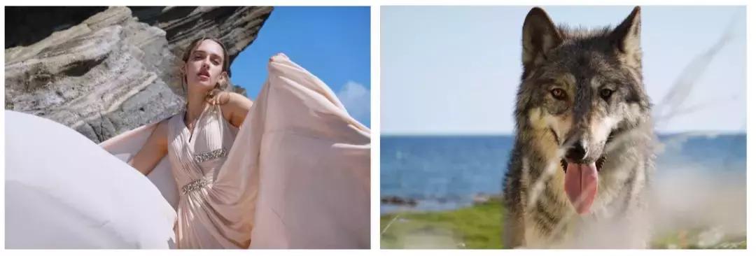 索尼口袋黑卡,索尼alpha9ii开箱