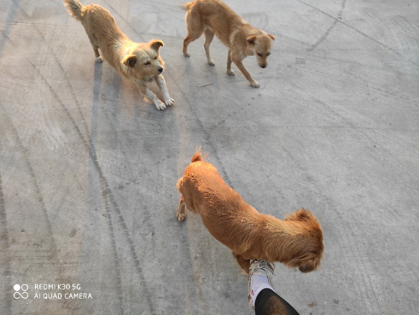 当你在意别人的话时你就输了,自己会在乎别人说的每句话