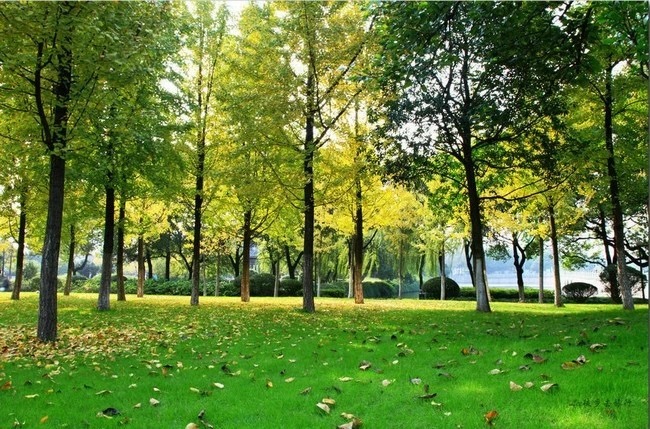 2021宁波免费旅游景点推荐,宁波市内玩的地方推荐一日游